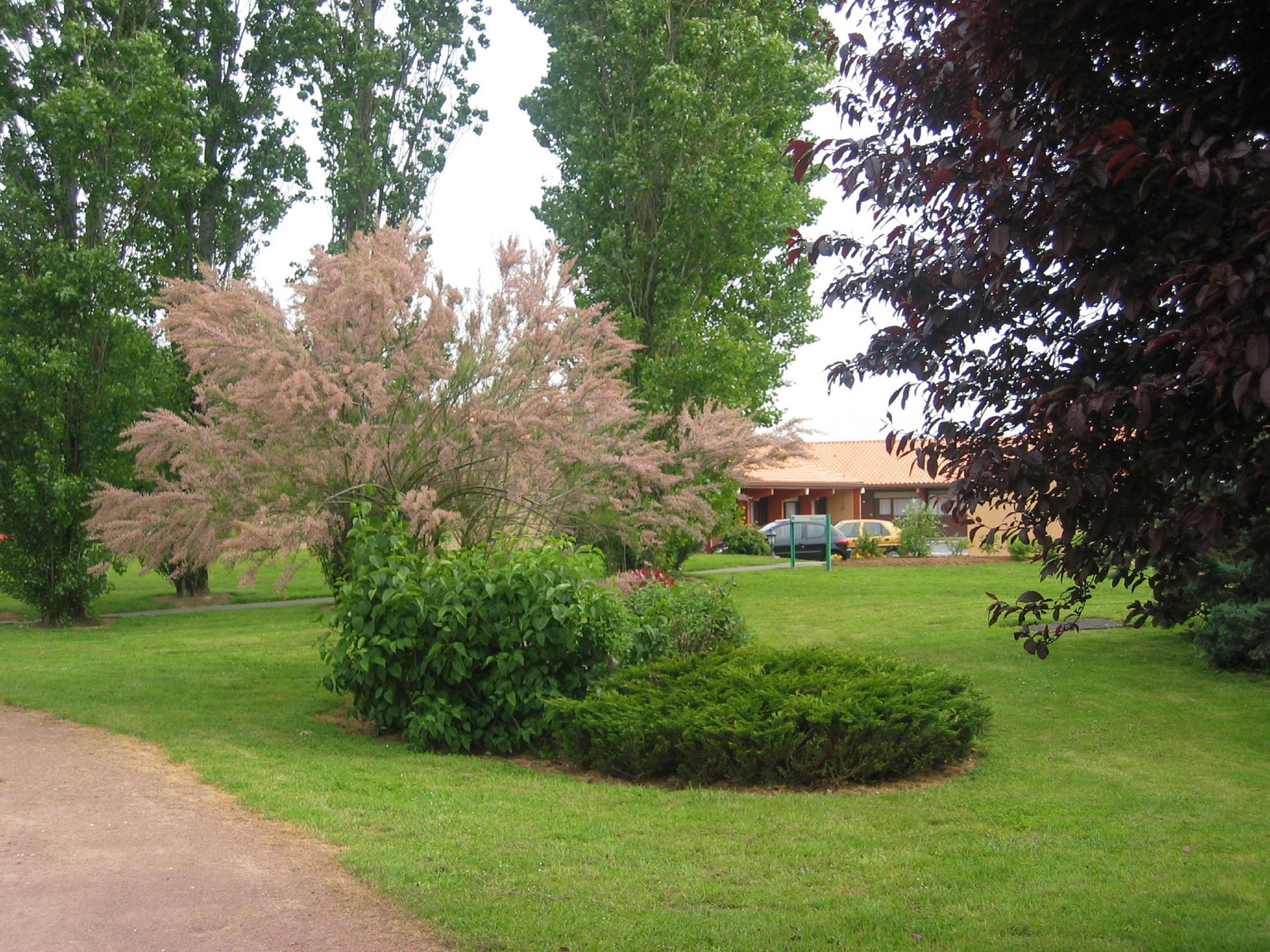 Kyriad Niort - Ла-Креш Экстерьер фото